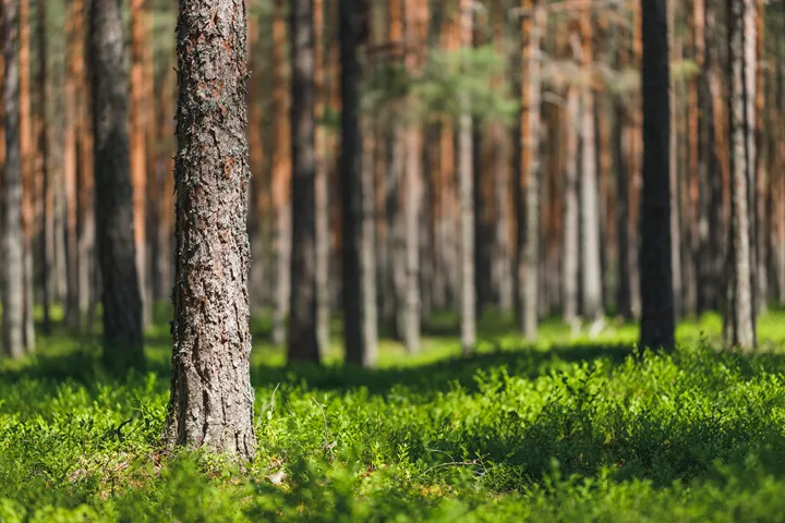 AdobeStock_376965594